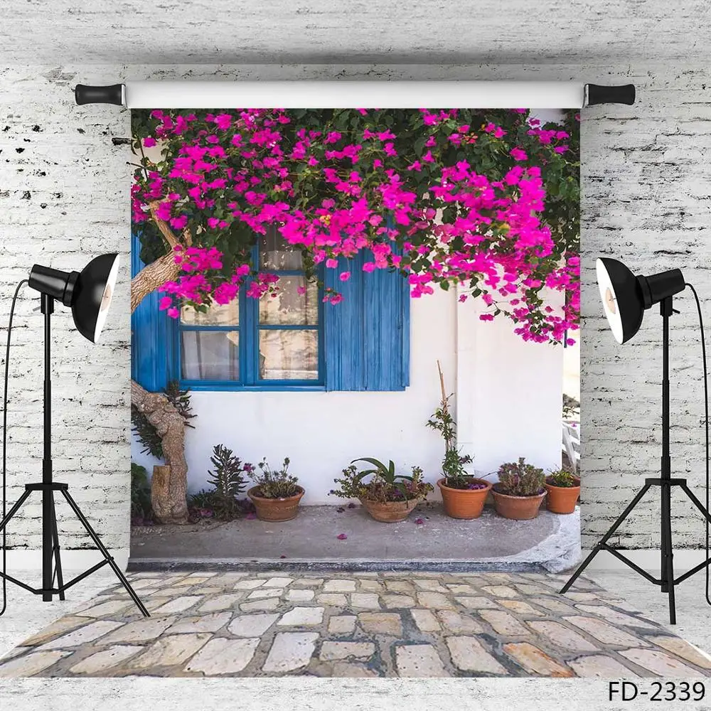 Flowerpot Window Stone Floor Photographic Backgrounds Vinyl Backdrops Photo Studio for Photo Shoot Portrait Photobooth Decor