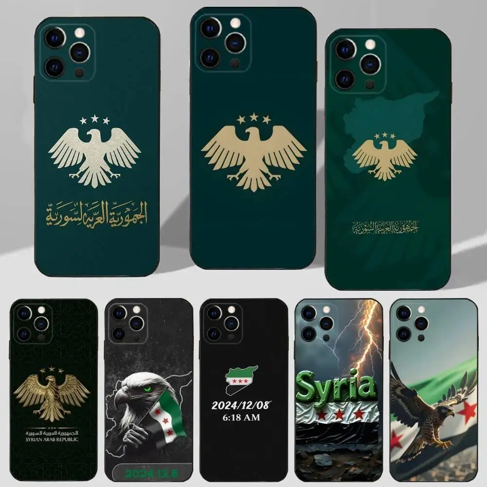 

FLAY Art S-SYRIA Cool Case For iPhone 11,12,15,14,13,16,17,Plus,Pro Max,XS,X,XR,SE,Mini,8,7,Soft Silicone Black