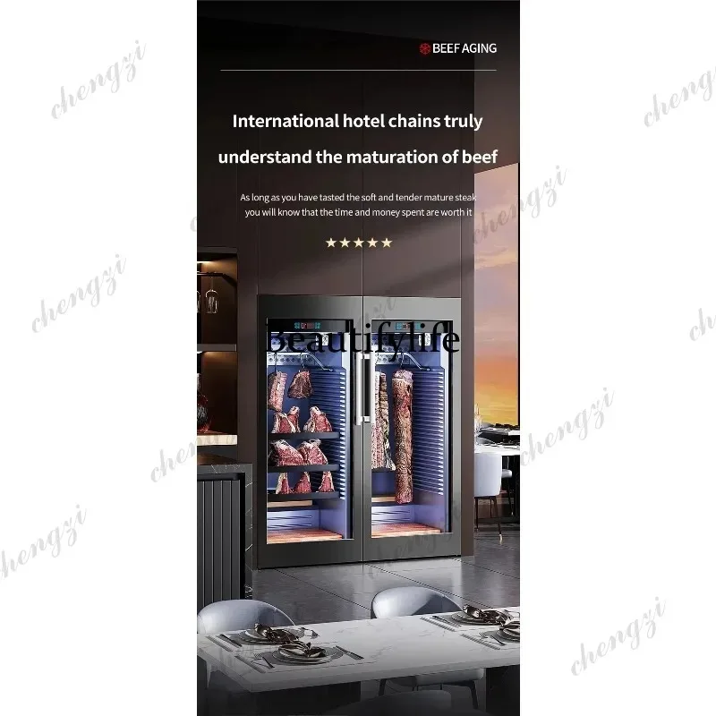HR 400L Professional Beef Steak Meat Dry Aging Fridge Cabinet Refrigeration Hanging Display Storage Room