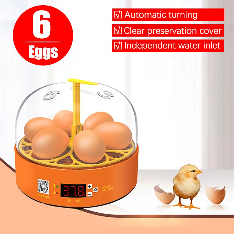 6 Eggs Fully Automatic Turning Hatchery Incubator Egg Brooder Machine Mini Household Digital Temperature Control Hatching Device