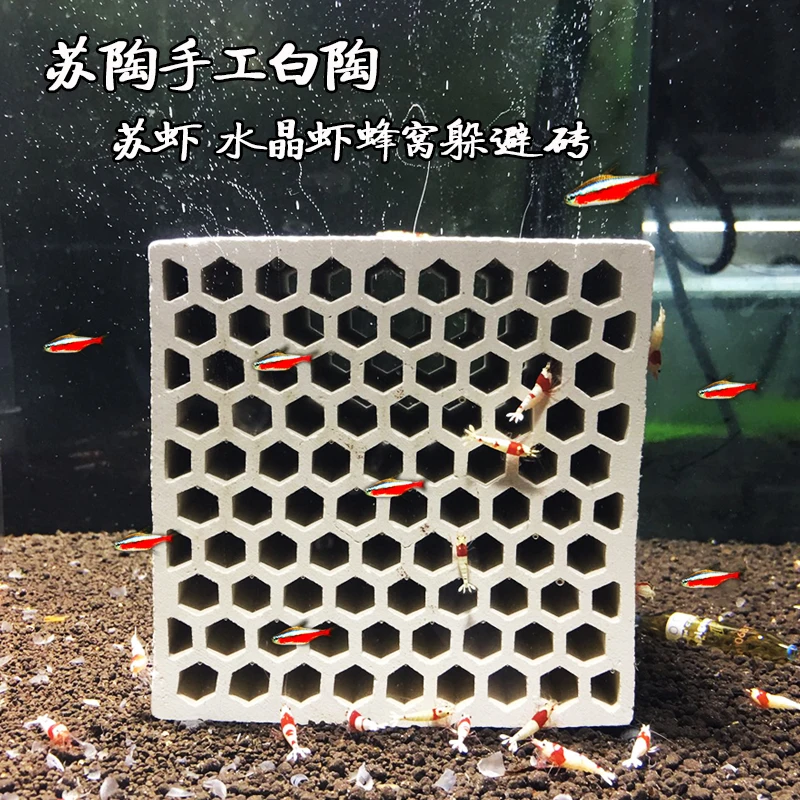 

Natural Ceramic Honeycomb Hut Crystal Shrimp Shaped Protection Evasion