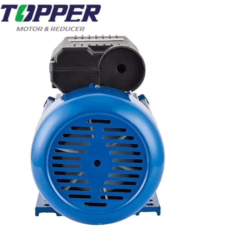 YL801-2 0.75KW 1  SINGLE-PHASE  DUAL-CAPACITOR INDUCTION MOTOR for air Compressor and Beeswax Foundation Machine