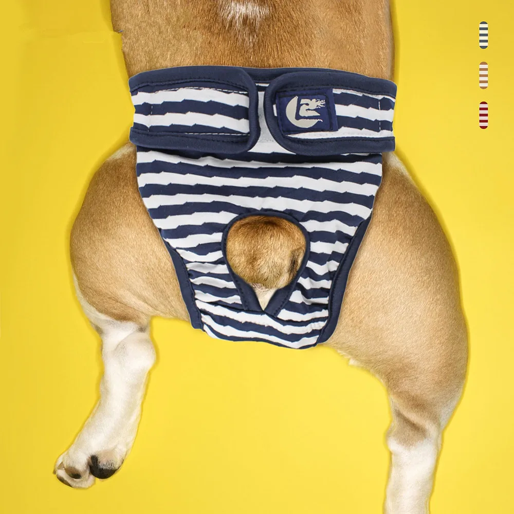 Pantalones cortos lavables para perro, ropa interior para menstruación, mono fisiológico para mascotas, pañal sanitario