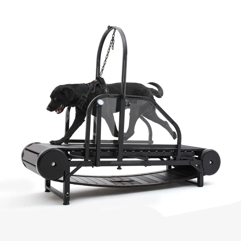 Dog Treadmill Large Dogs Indoor Outdoor Canine Running Pet Fitness Doggy Exercise Equipment Walking hine