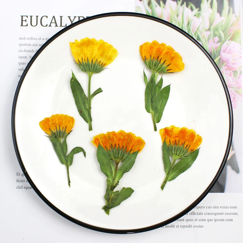 

5-6cm/12PCS,Natural Calendula Mini pressed Flower Branch,Embossed Phone Case Dropping Glue Bookmark Invitation Facial Decoration