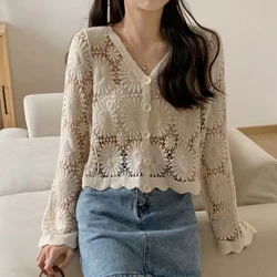 Daisy Embroidery Crochet Top Long Sleeve Button Down V-Neck Sheer Open-knit Blouse Cover Up Women Summer Fairycore Outfit