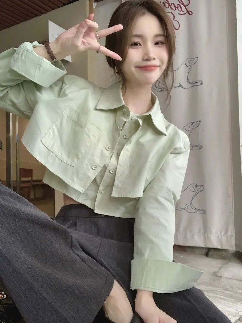 Two Korean Style Loose and Short Shirts for Women with a Niche Early Spring Long Sleeved Top Design