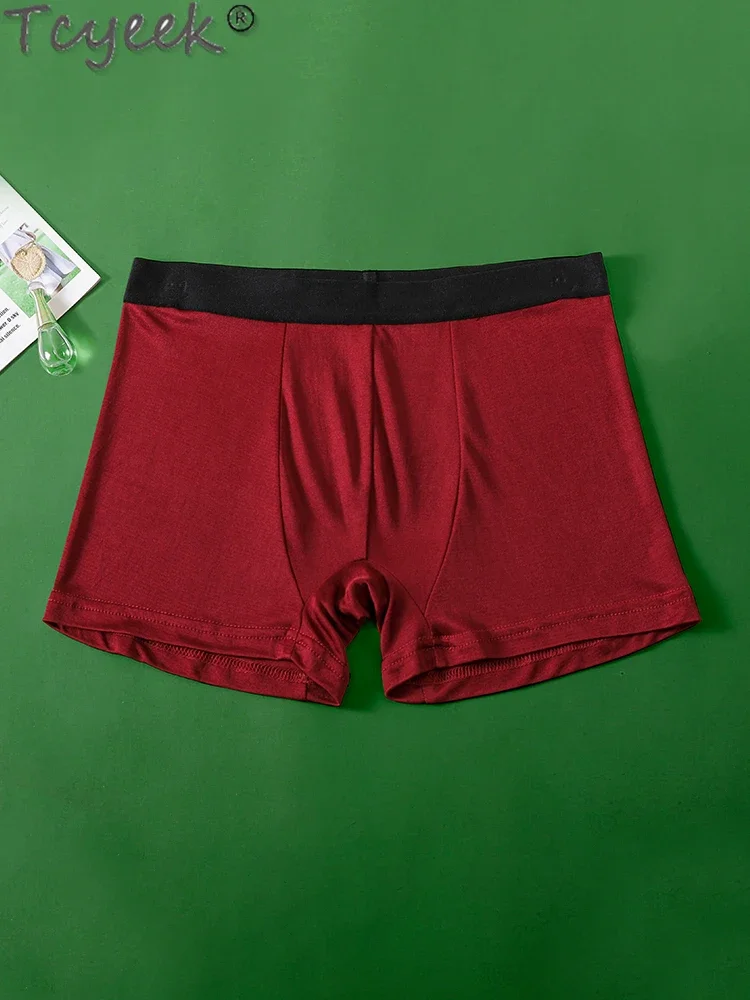 

Tcyeek 100% Silk Boxers for Man Underwear Thin Breathable Man Silk Underwear Summer Briefs High Quality Ropa Interior Hombre