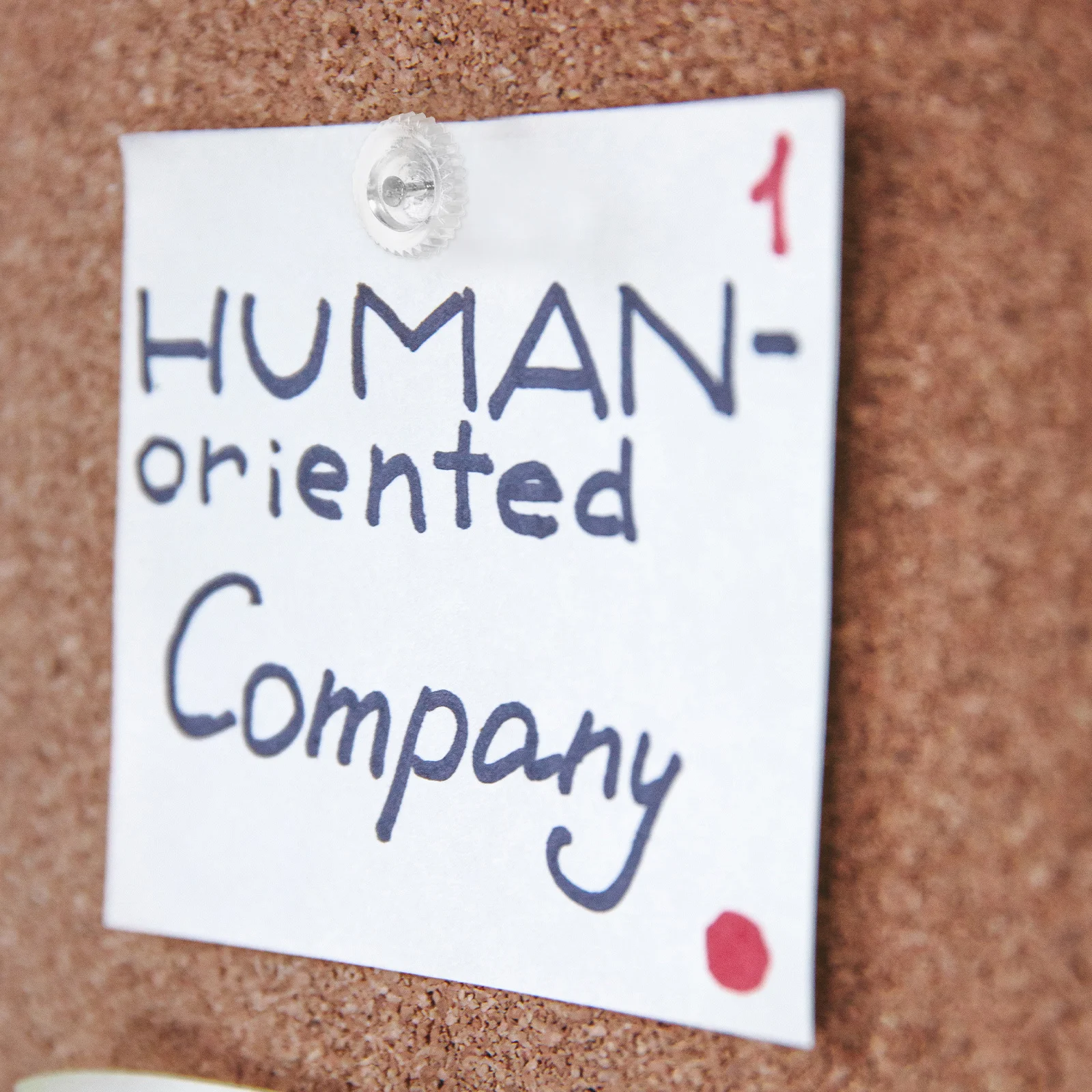 

100Pcs Clear Thumb Tacks Plastic Pushpins Small Decorative Nails for Bulletin Boards Cork Home Office Clear Thumb Tacks