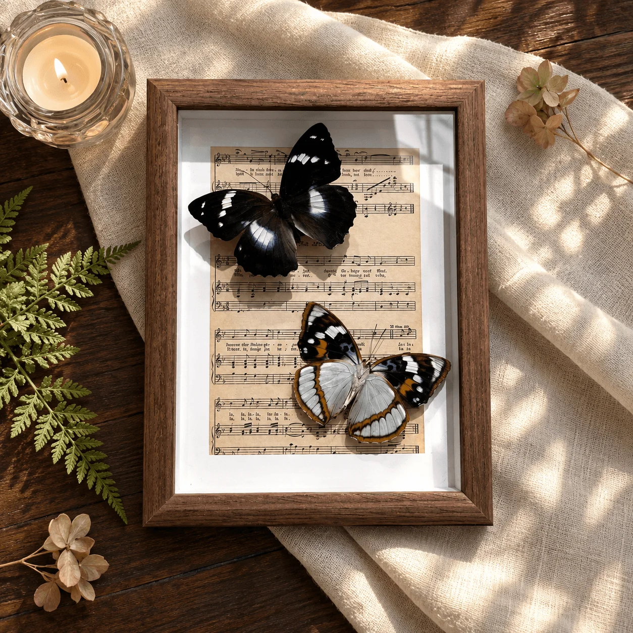 Mimathyma schrenckii Butterfly Art, Dual Sided Wing with Vintage Music Sheet Background, Vintage Natural History Decor