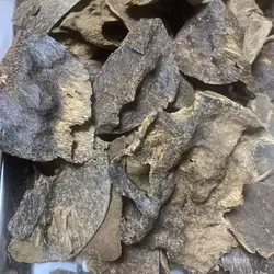 10gram Double Super Cambodi oud Cambodian Arab Oud with Natural Mica Plates Bukhoor Bakhoor Super Sweet