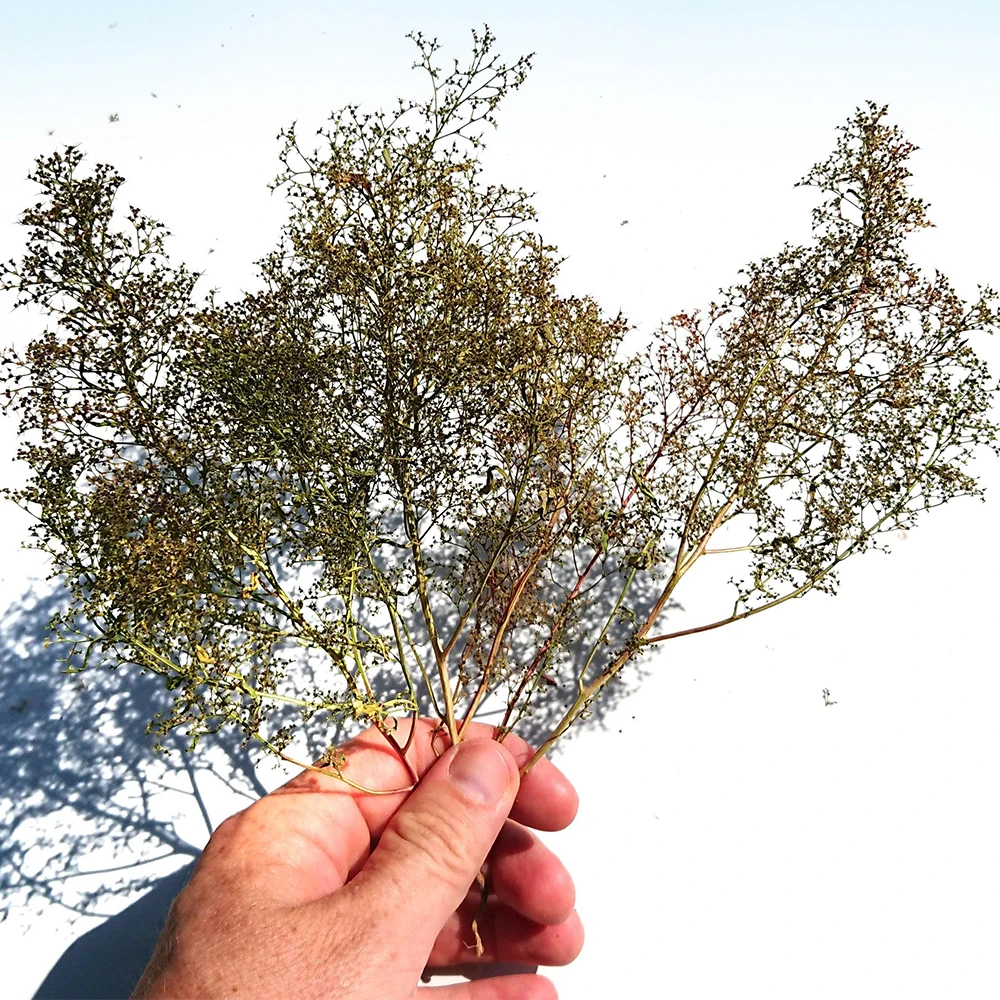Flexible Model Tree Arm 1:24 to 1:220 Scale Sea Foam Plant for HO N Train Railway, Diorama & Wargame Terrain