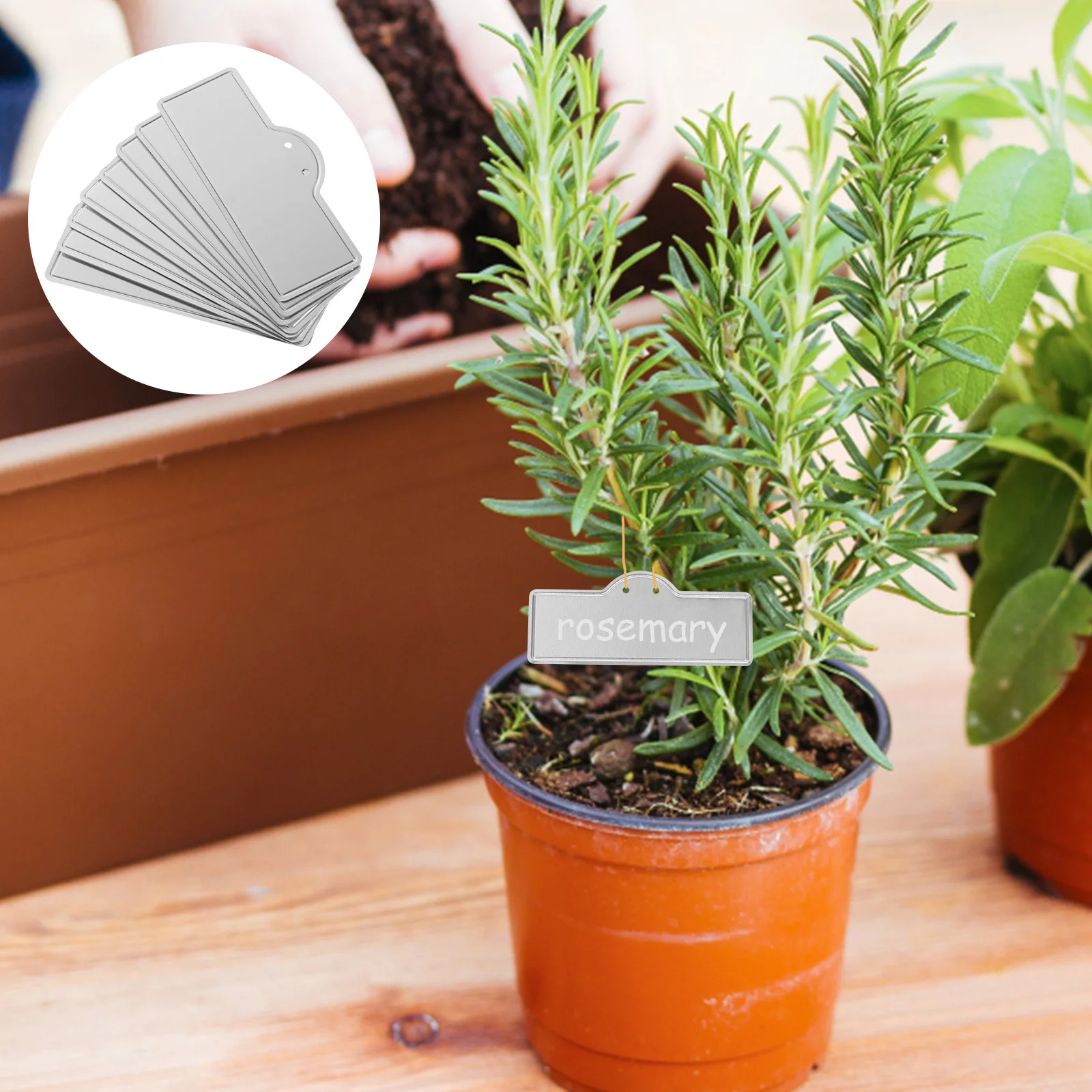 

20Pcs Garden Labels Durable and Portable for Planting Lovers Excellent for Commercial and Personal Use Aluminum Plant Labels