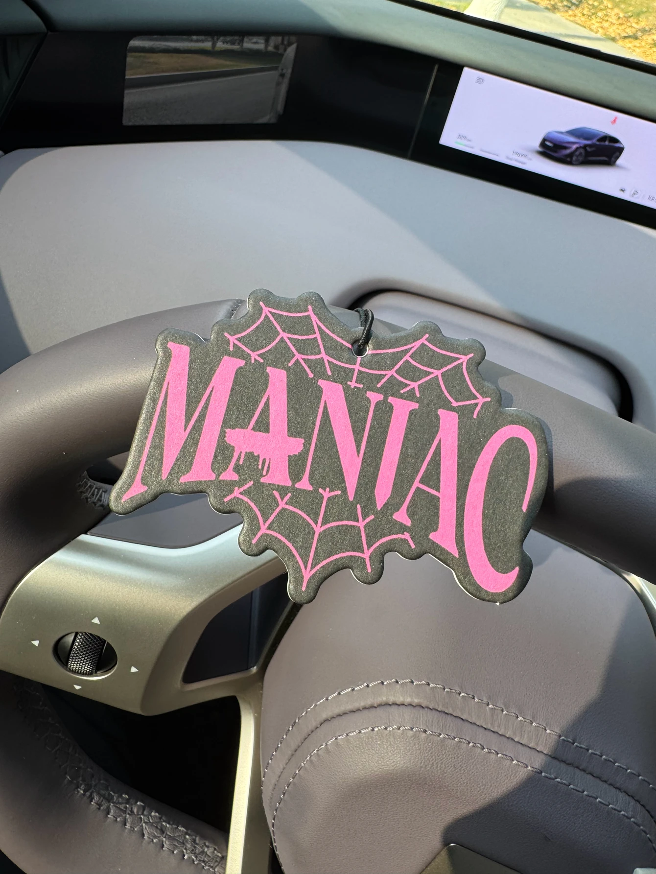 Ambientador de Coche con Diseñ - Home Fragrance Non Toxic reseña y precio