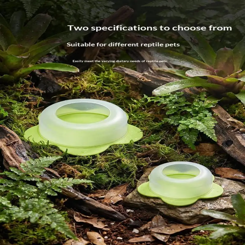 Reptile Anti Escape Feeding Dish Waterproof ABS Worm Food Bowl for Lizards Geckos Snakes Daily Feeding Use