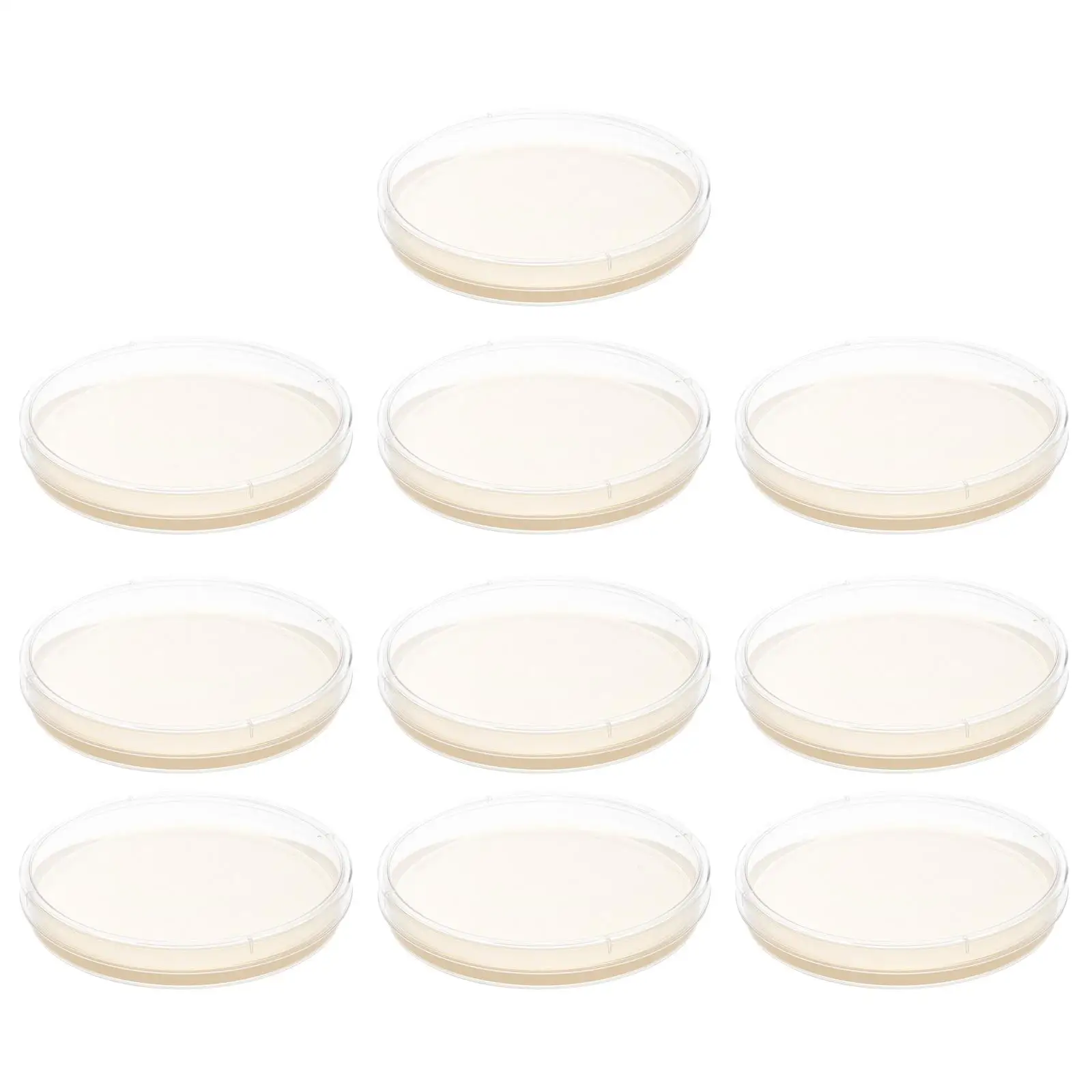 

10 Pcs Nutrient Agar Plate Poured Plates Tissue Culture Petri Pre-Poured Dishes with Labs Kids Science Fair Project Kit