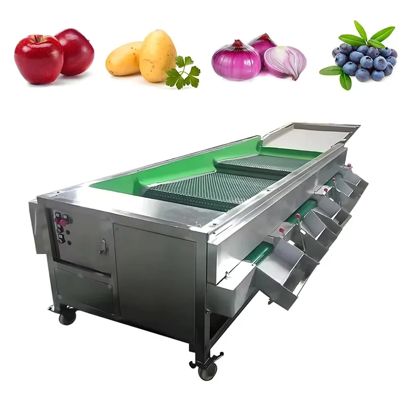 VBJX Automated Button Avocado Sorter Mushroom Sorting Olive Cherry Grader Elevator Conveyor Machine