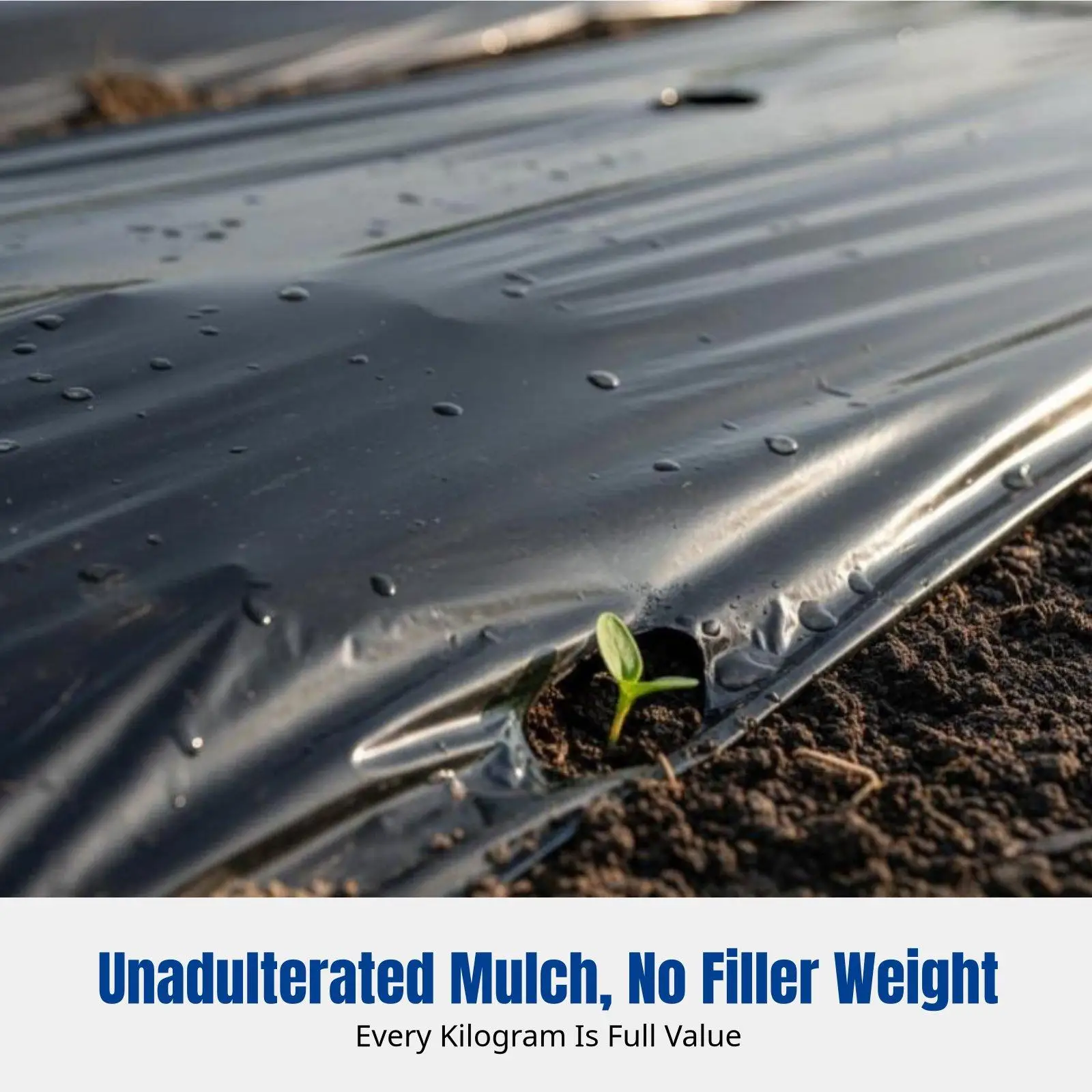 Black Silver Mulch Film for Crop Growth Light Reflector and Weed Control Solution