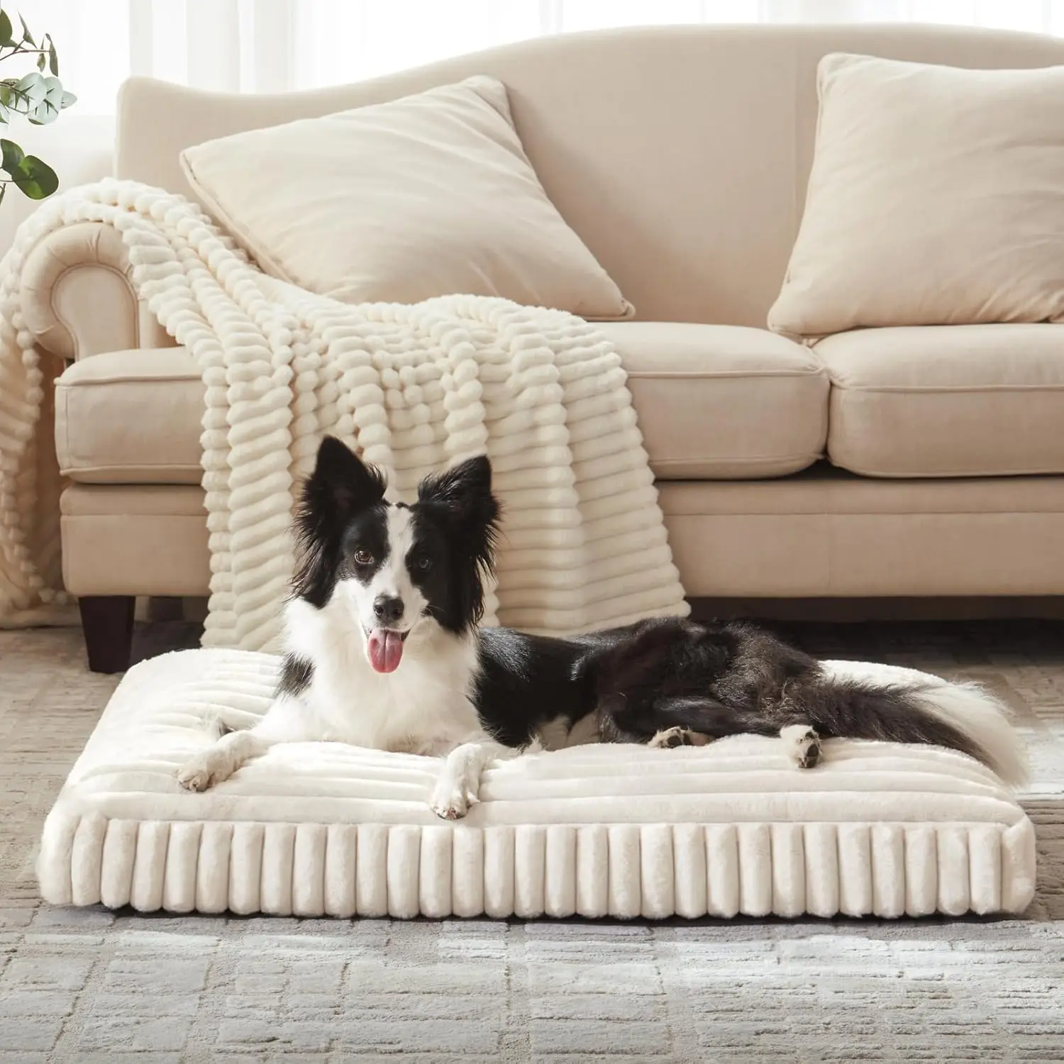 

Large Dog Bed 35x23x4 Inches, Washable Cover & Anti-Slip Bottom, Cream Color Pet Mat for Indoor Use