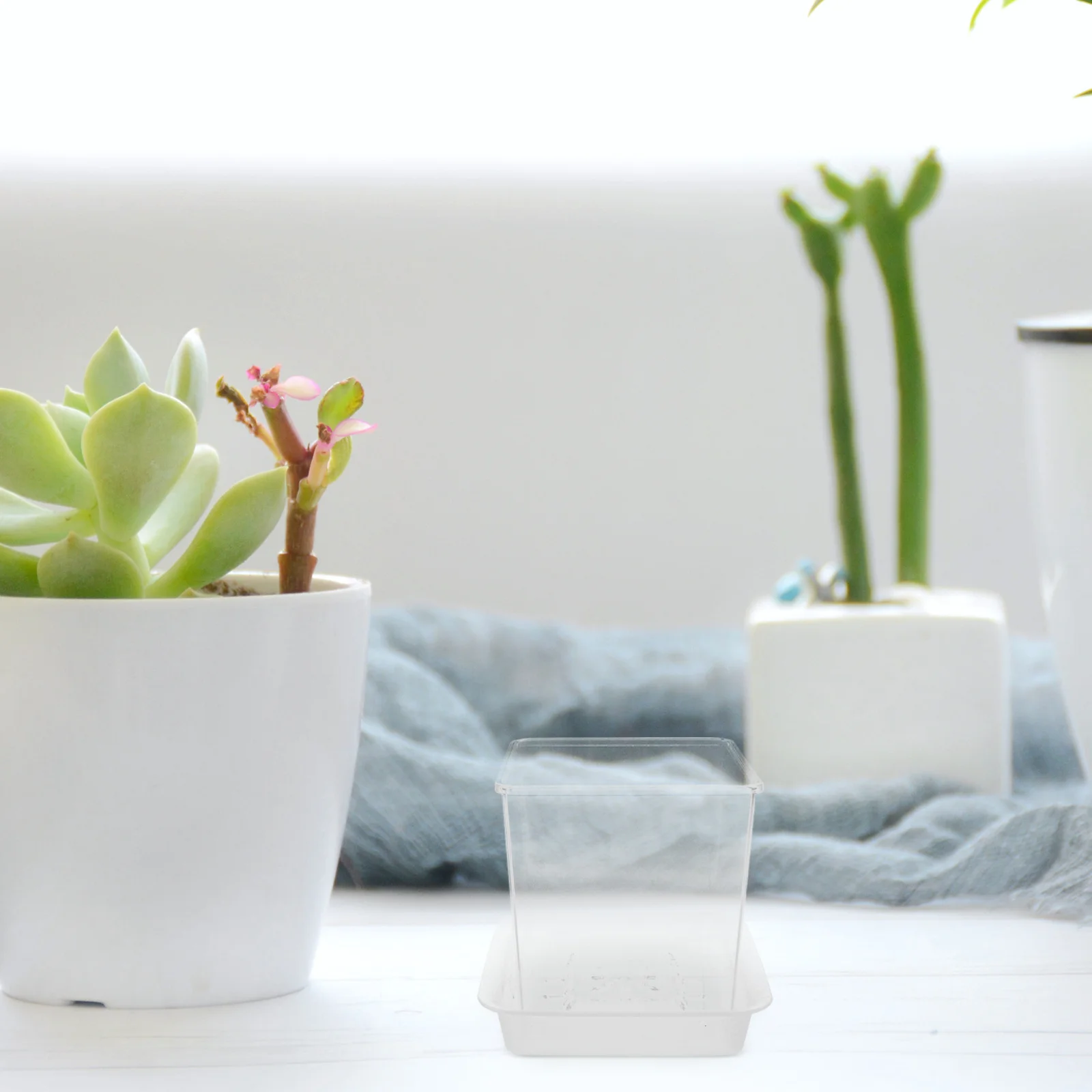 

1Set Transparent Seedling Pot for DIY Plant Growing Set Clear Rectangular Nursery Planter with Drainage Ideal for Indoor