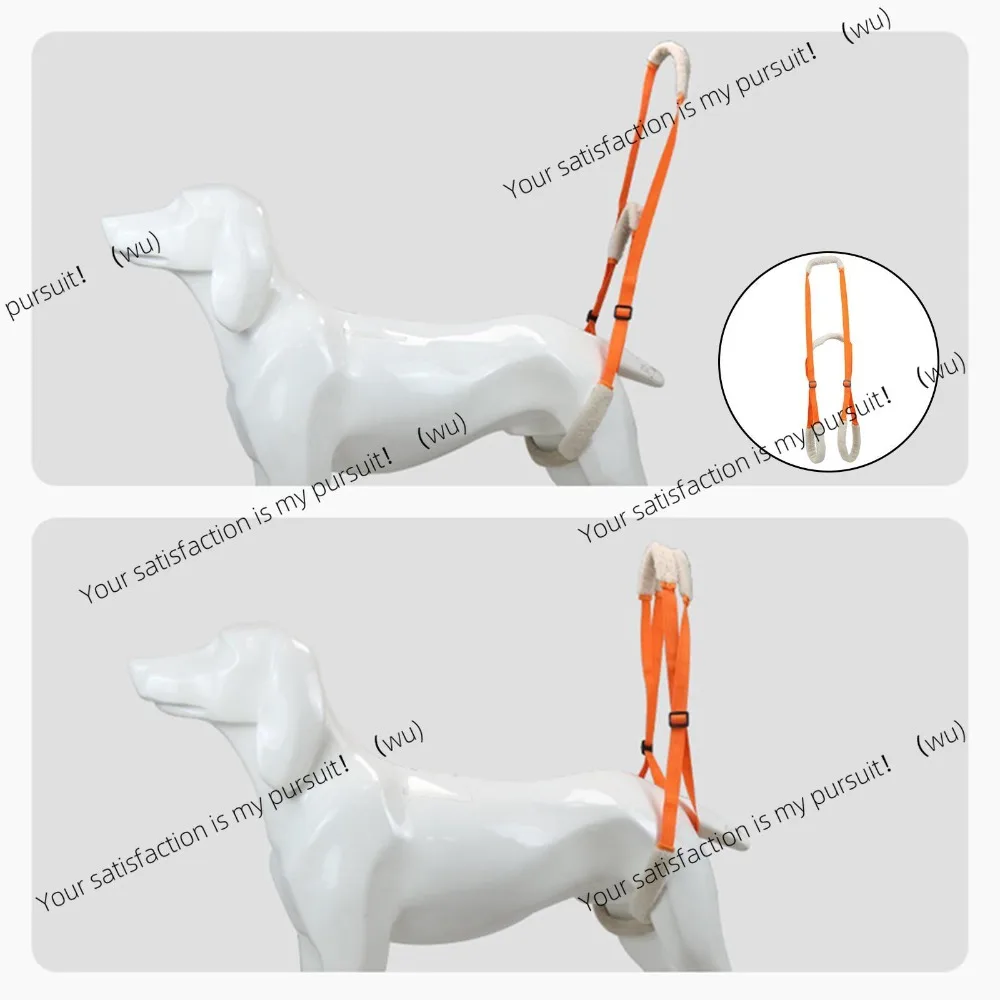 Pet disabled walking assistance carrier adjustable for back and hip support