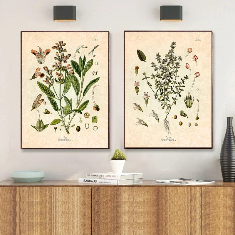 Cuadro artístico de pared, pintura en lienzo, especias, hierbas, impresión, cartel botánico Vintage, salvia, diabo, romero, tomillo culinario, decoración de cocina