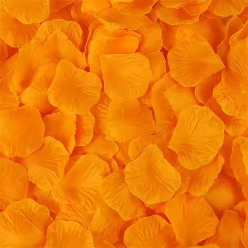 Black Artificial Rose Petals For Wedding Party Flower Favors Decoration Roses Supplies 500pcs Silk Petals Rosas Para Casamento - Image 7
