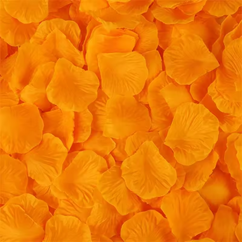 Black Artificial Rose Petals For Wedding Party Flower Favors Decoration Roses Supplies 500pcs Silk Petals Rosas Para Casamento - Image 7