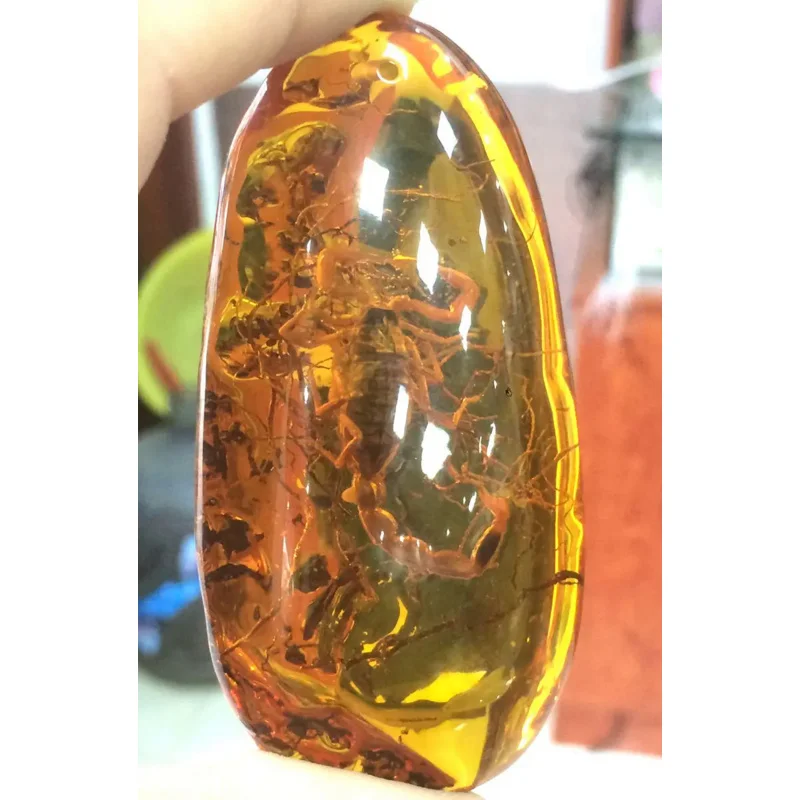 

Certificate Natural Mexican Amber Beeswax Scorpion Pendant 41*80*19mm