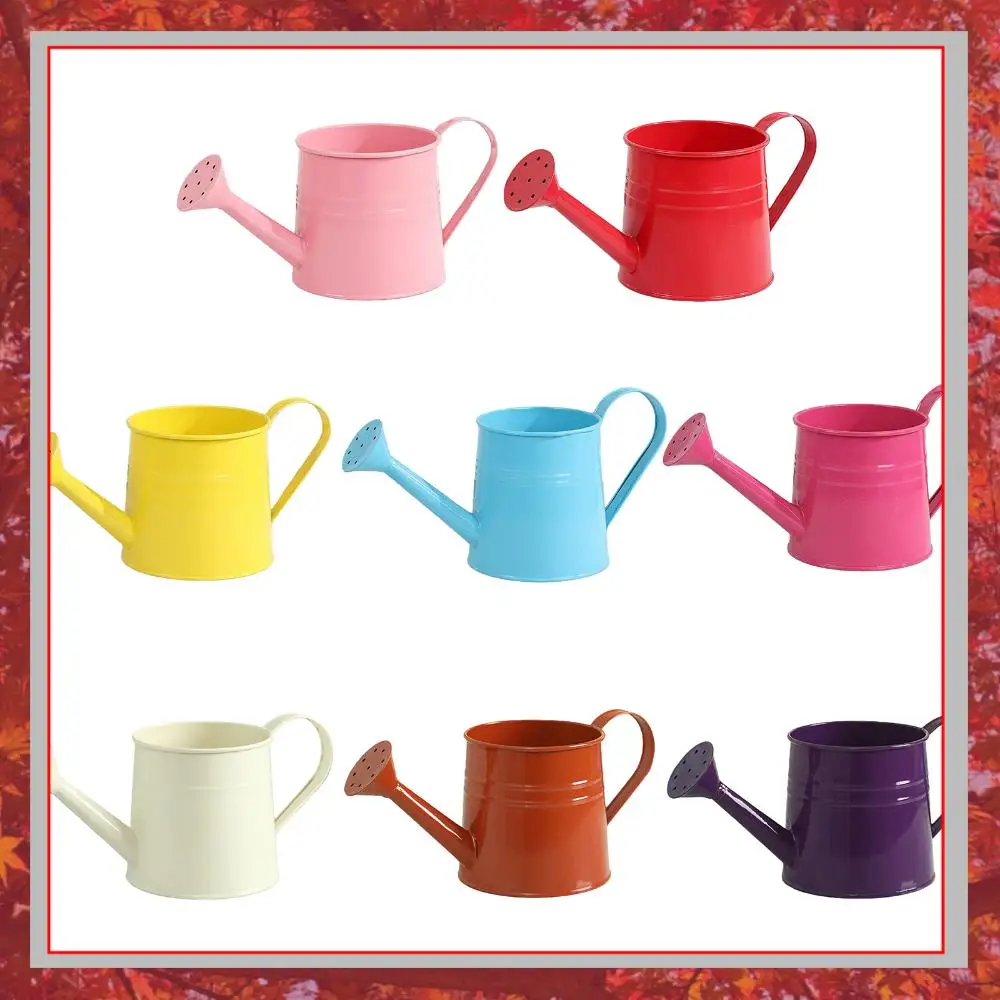 Flower Long Spout Water Can for Kids Adult with Sprinkler Head Garden Flower Kettle for Gardening Watering / Sprinkling