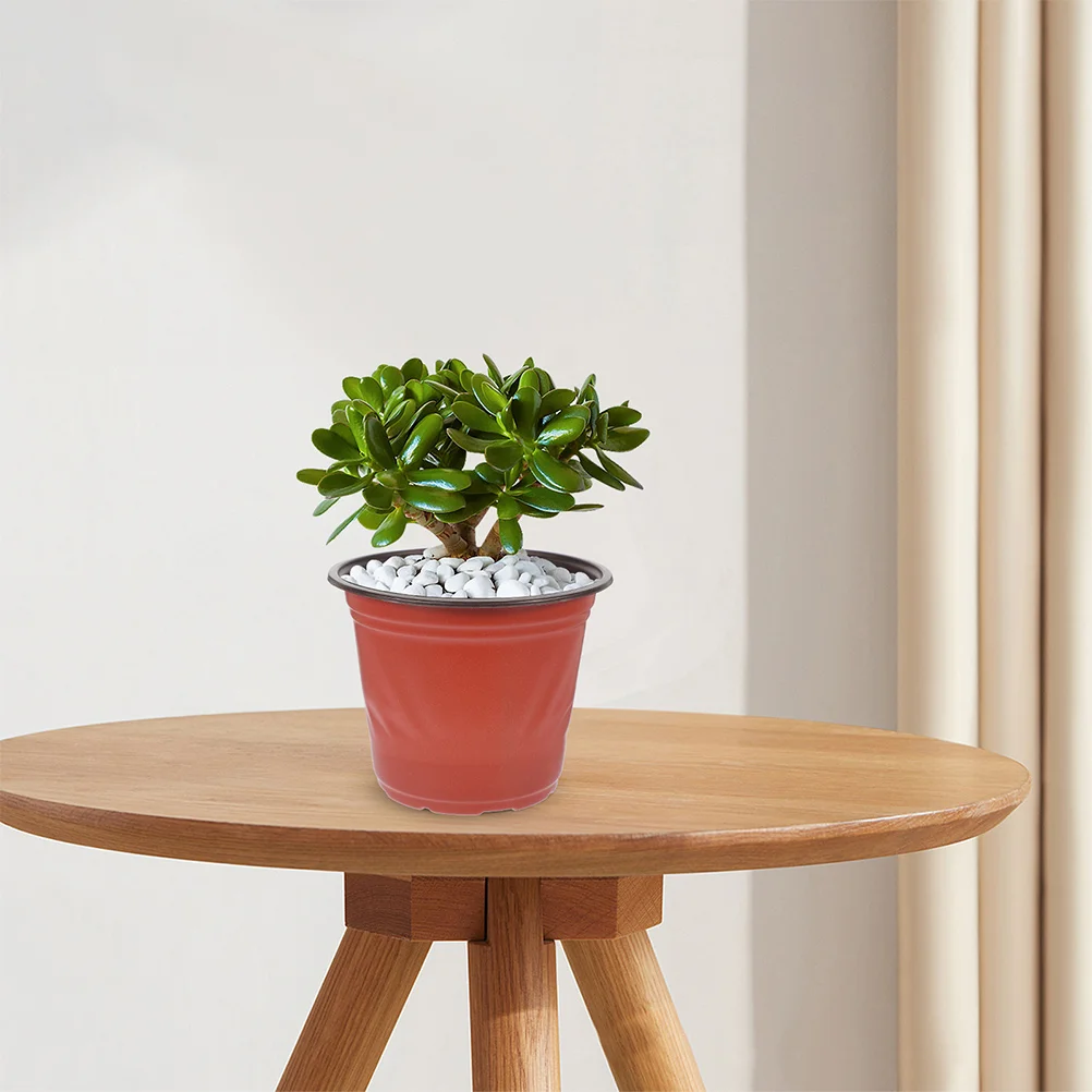 

50Pcs Flower Nursery Pot Multipurpose Plastic Planter Suitable for Gardening Plant Cultivation Growing Nursery Pot