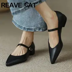 REAVE CAT 2023 Design Women Flats Pointed Toe Buckle Straps Elegant Female Shoes Soft Comfortable Solid Large Size 40 41 42 43