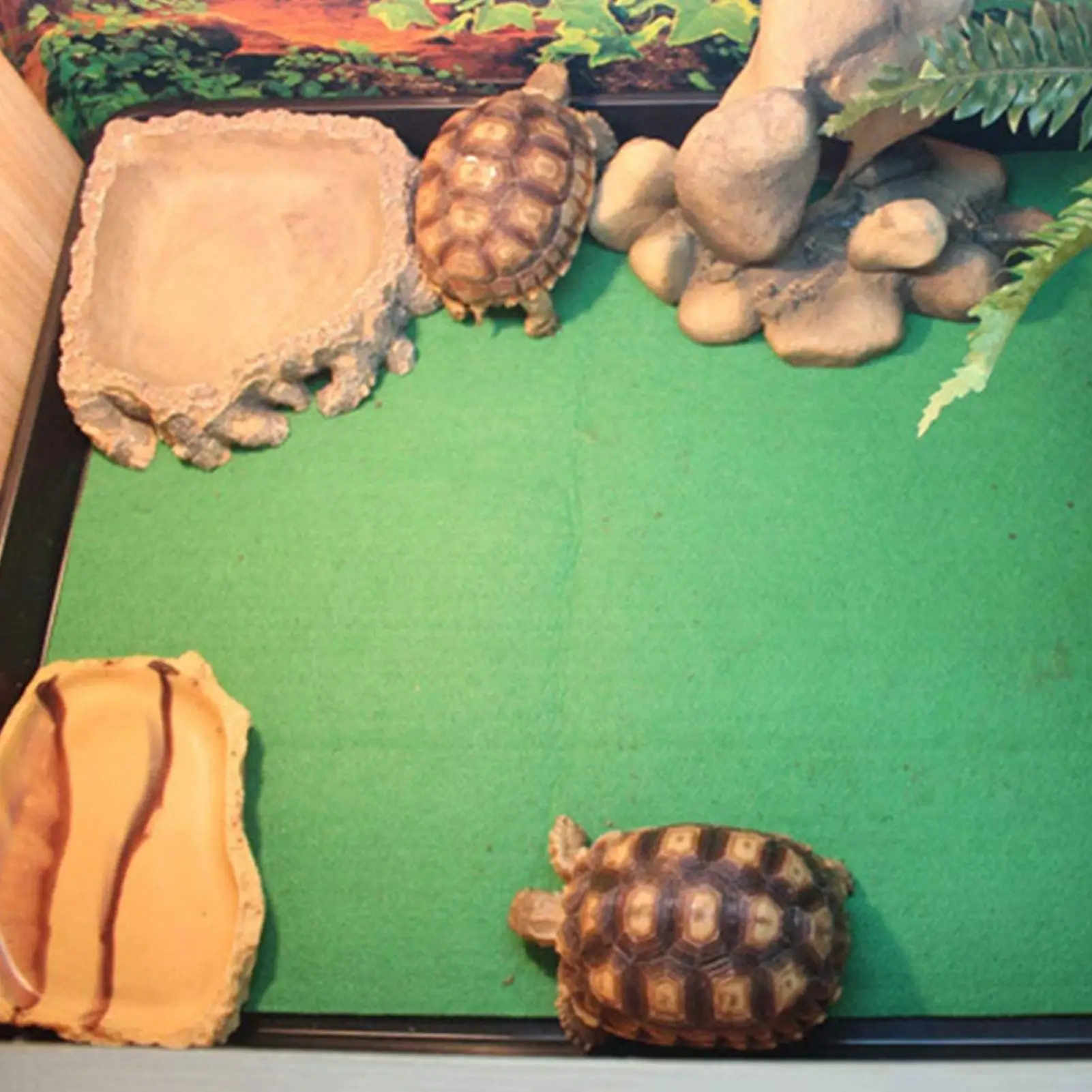 Supplies Reusable Pet Terrarium Liner Durable Strong Water Absorption Mat Strong Water Absorption For Terrarium Bedding