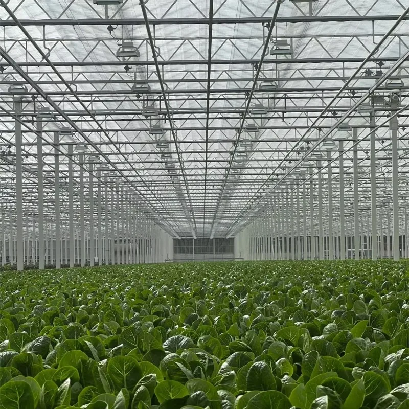 Serra agricola commerciale Grande casa verde in policarbonato con copertura in foglio PC Piccolo capannone in plastica