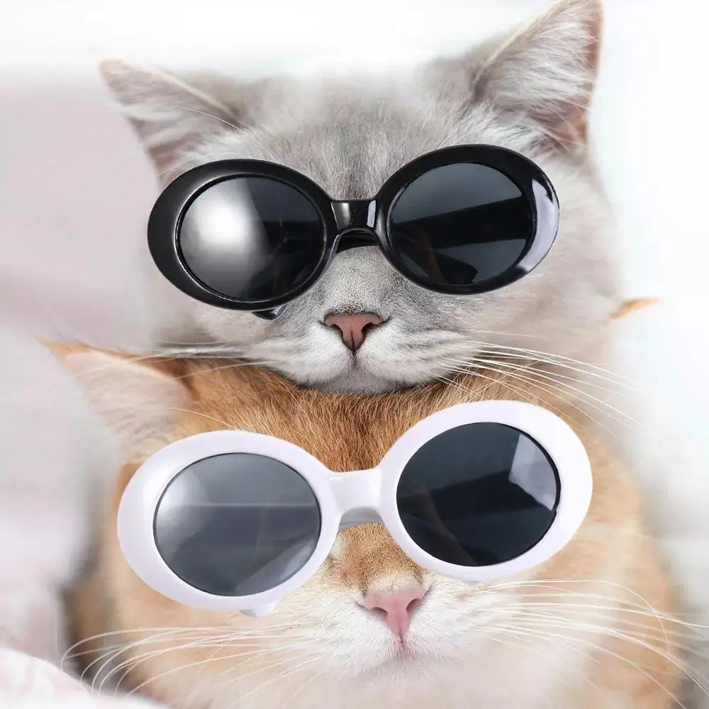Vestir óculos decoração moda pet óculos de sol mini óculos de plástico meninas