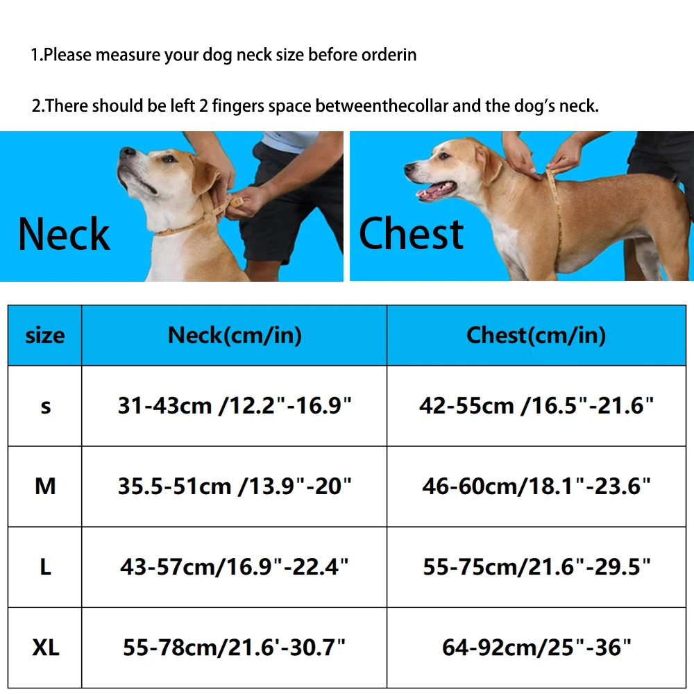 Thumbnail 3 - #63 Best Dog Harnesses to Buy In 2026