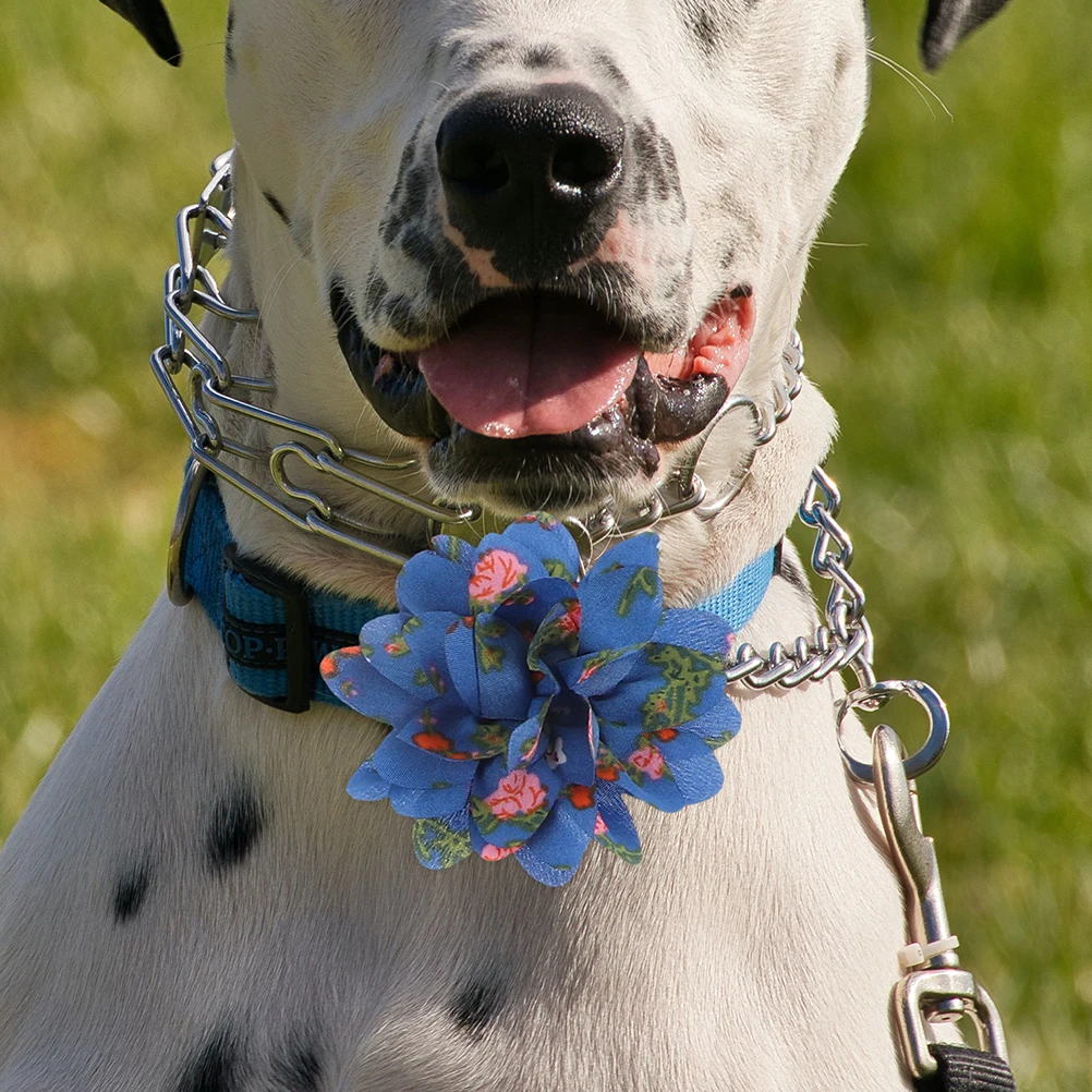 

20Pcs Puppy Dog Cat Flower Collar Lace Material Soft Lightweight Decorative Charms for Pet Cosplay Birthday Party Accessories