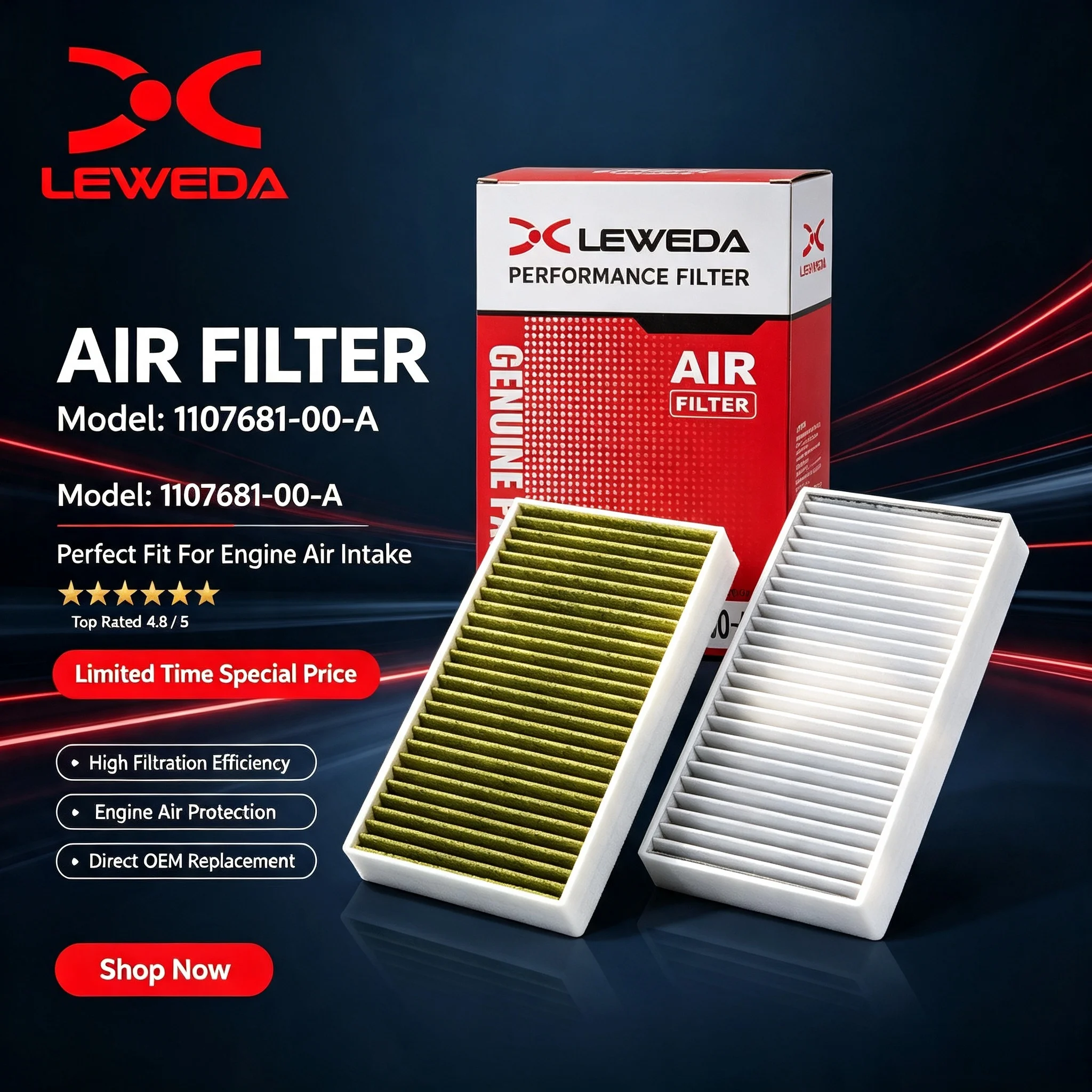 Leweda Electrostatic Cabin Air Filter 1107681-00-A for Tesla Model 3 Model X Replaces 110768100B 110768100C 1658375