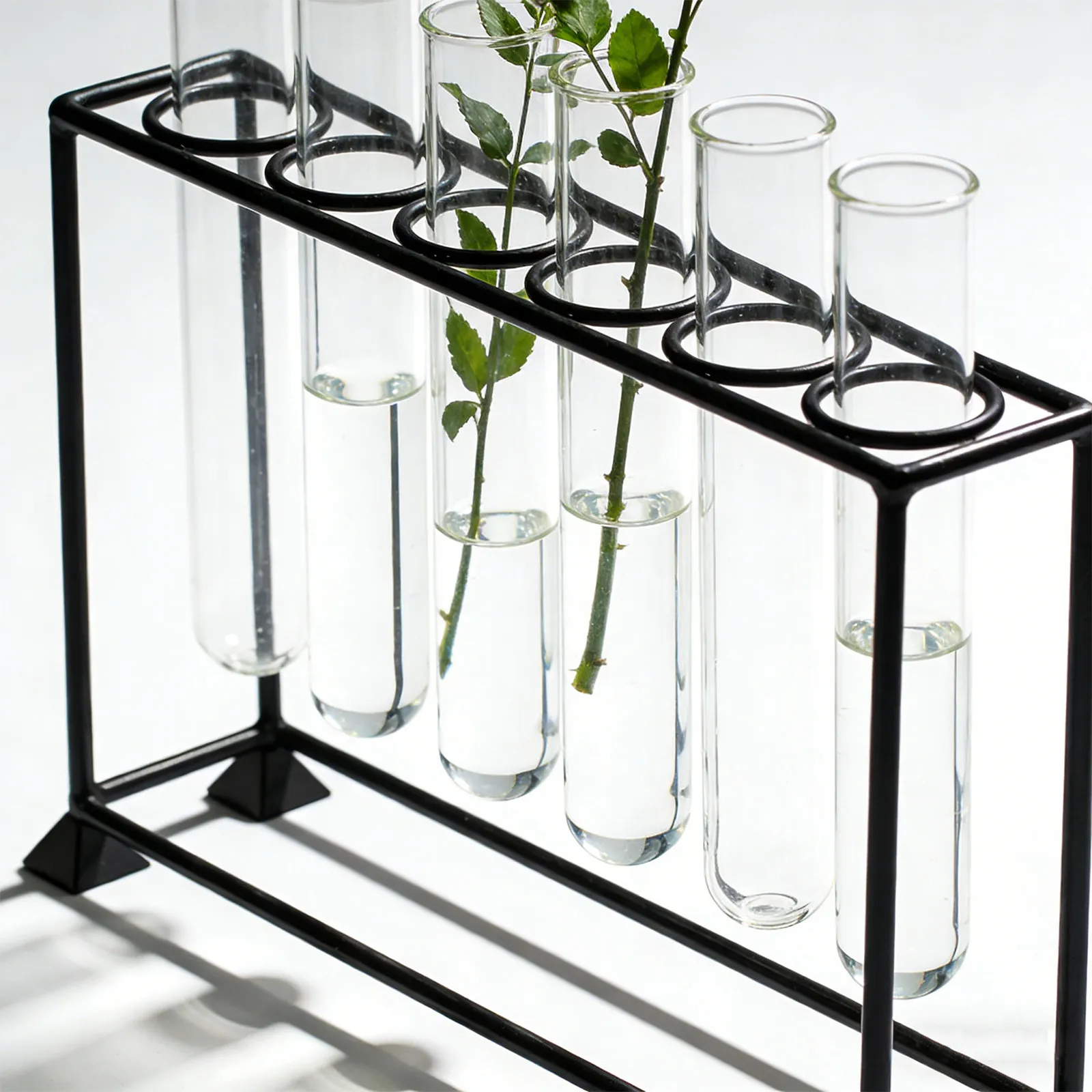 6Pcs Clear Glass Test Tube Plant Propagation Tubes Mini Hydroponic Planters for Indoor Plants Tabletop Window Sill Decor
