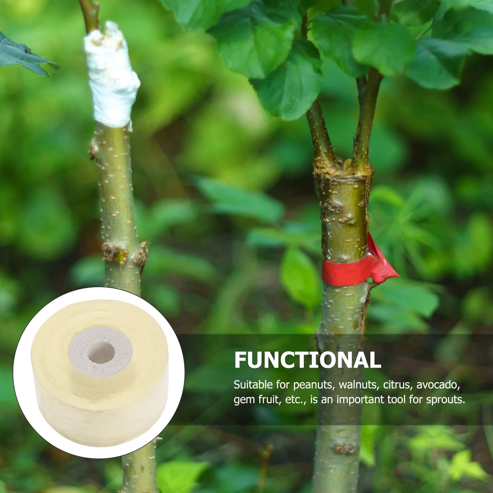 5 قطعة 5 لفات بولي كلوريد الفينيل تطعيم فيلم ذاتية اللصق شفافة لمط النبات التفاف الفيلم لحديقة تطعيم أداة برعم الحماية