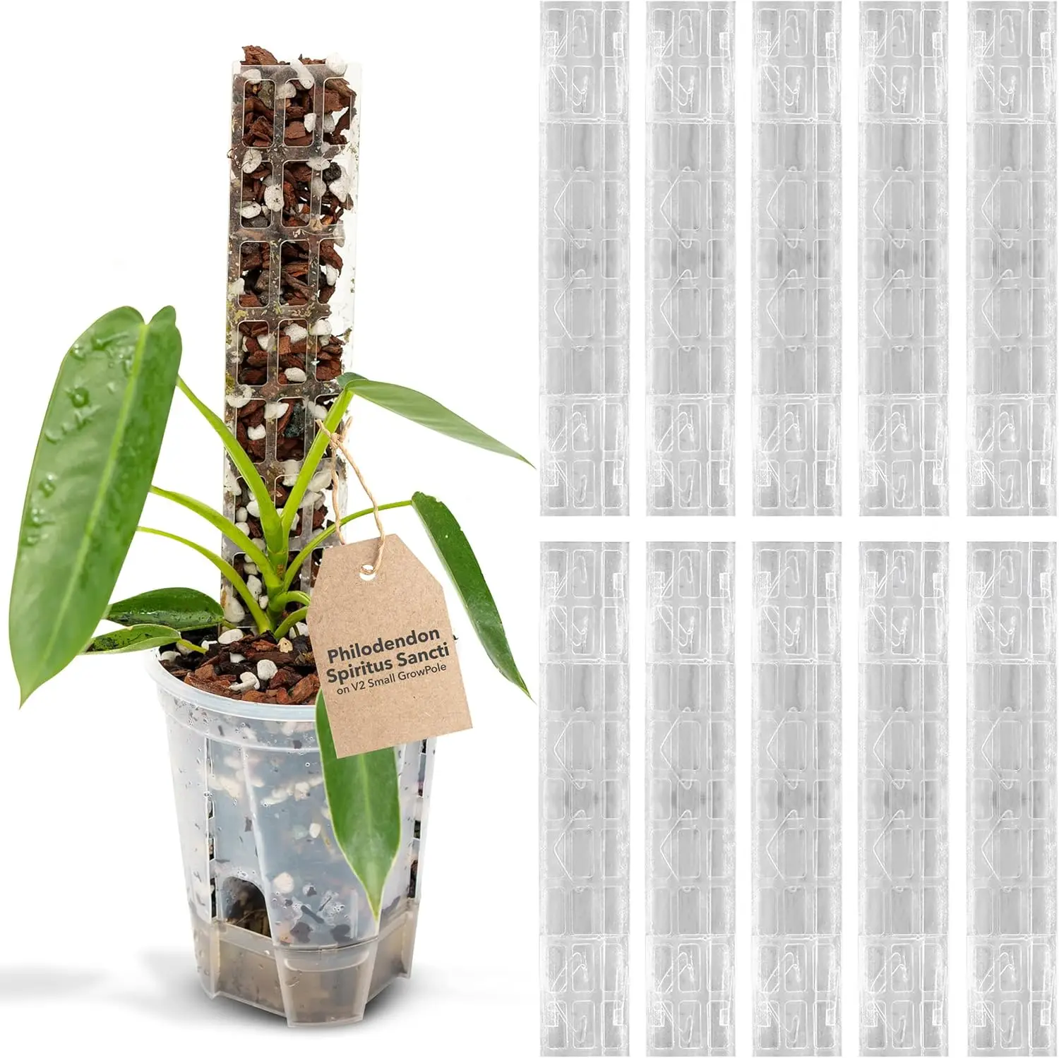 

V2 GrowPole Small, 10 шт. - Прозрачные моховые опоры для вьющихся растений, D-образные подставки для монстеры и филодендрона