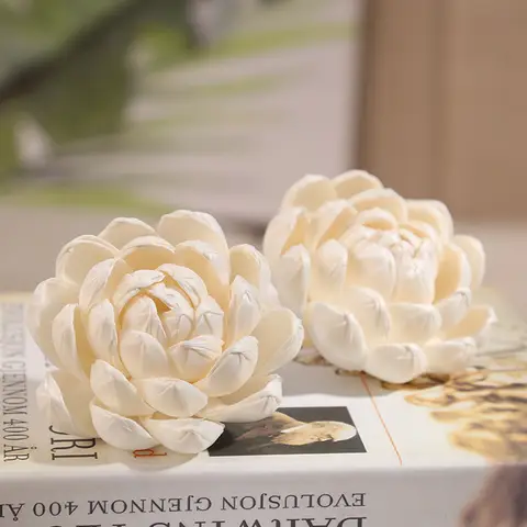 아로마 테라피 솔라 꽃 리드 디퓨저, 특수 휘발 액세서리, 수련 건조 꽃 시뮬레이션 연꽃, 8 cm, 10cm, 5 개