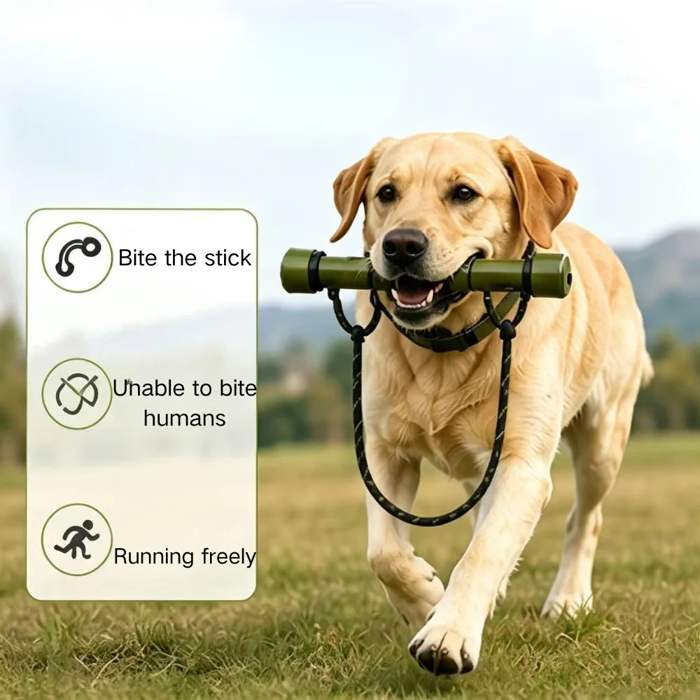 Anti-Charge Dog Stopper Bar, Automatic Drop Physical Limit Rod for Medium Large Dogs, Anti-Burst Running Prevent Collision Train