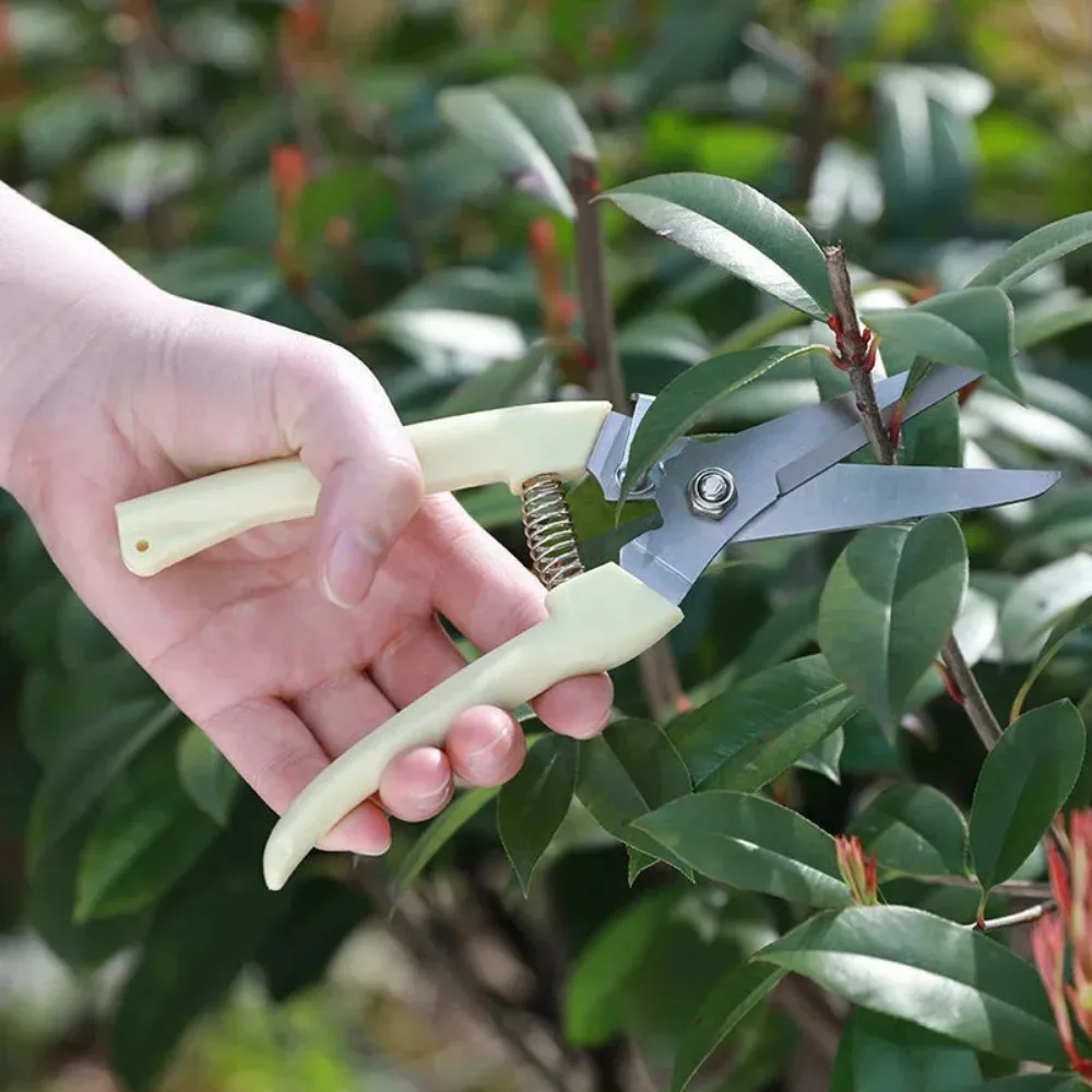 1/2Pcs Stainless Steel Pruning Scissors Cutting Multifunctional Flower Tree Branch Bypass Garden Pruner Hand Shear Clipper Tools