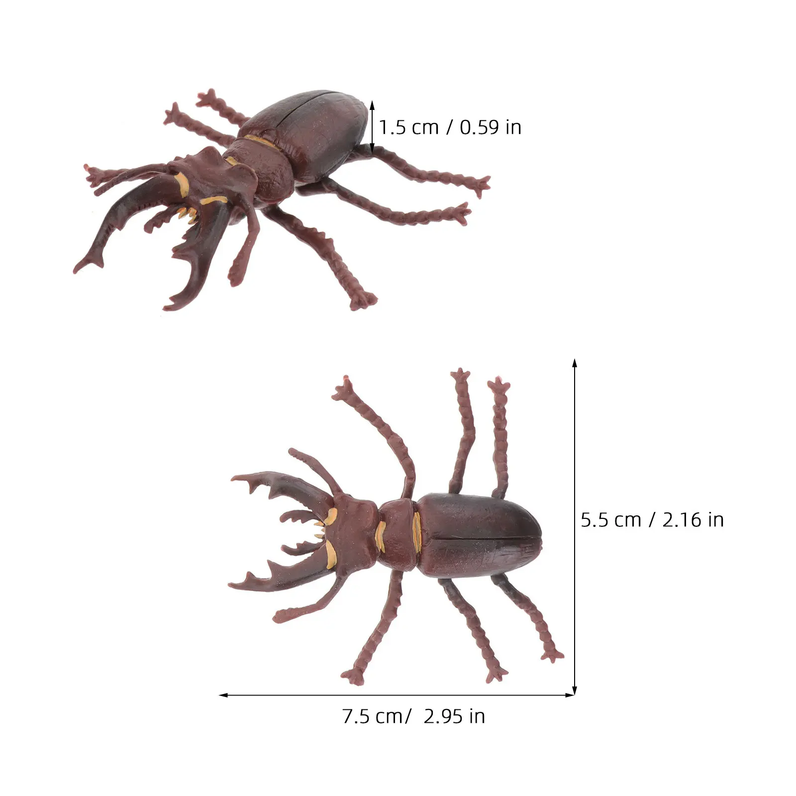 1Set Insect Simulation Growth Cycle Creative Display for Home Desk Decoration Educational Supplies