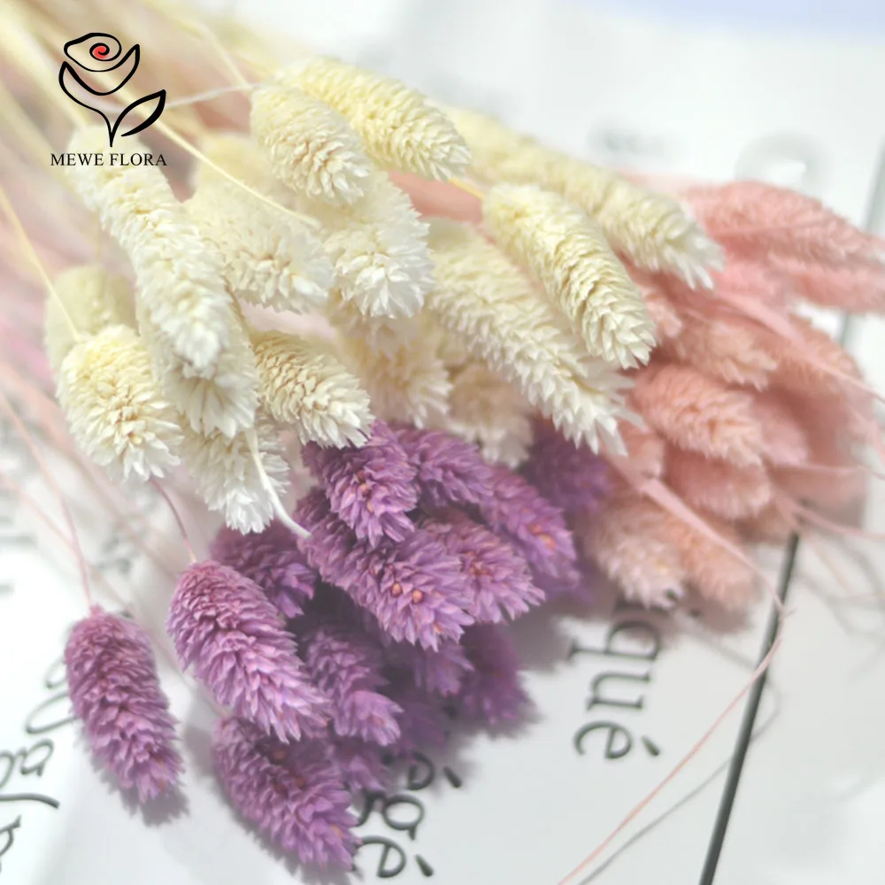 Bouquet de fleurs immortelles séchées en herbe, 50 pièces, décoration de la maison, ornement, accessoires de photographie, arrangement de mariage naturel Phalaris