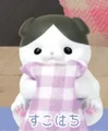 hachi cat