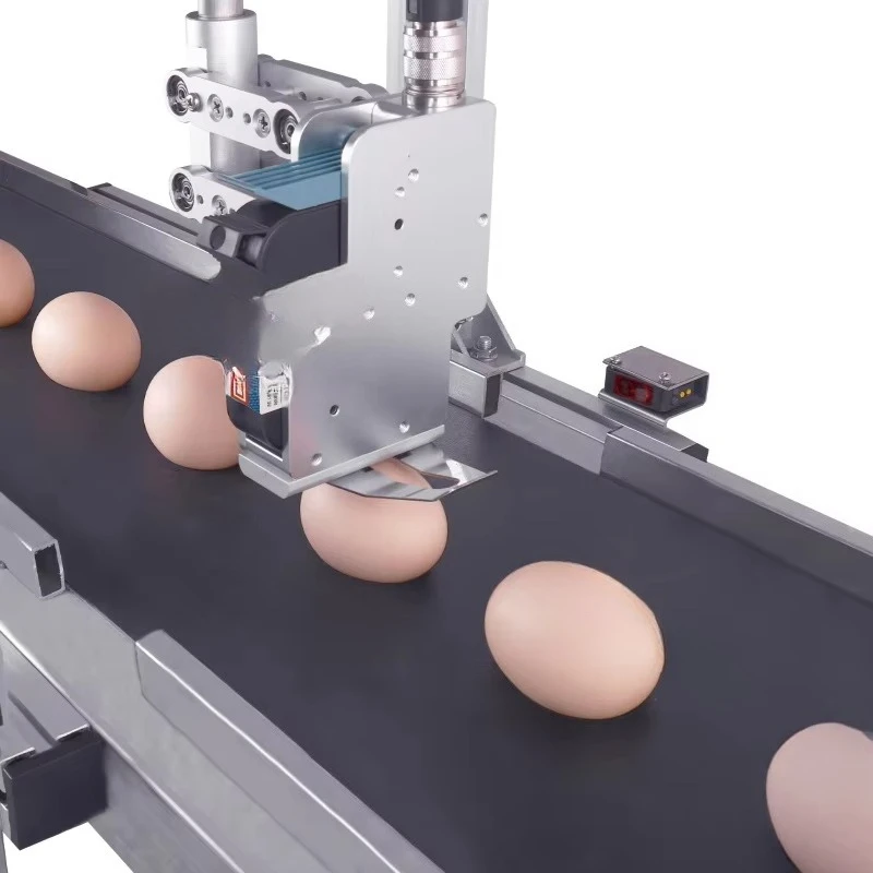 Egg spray code transfer, egg barcode coder bag