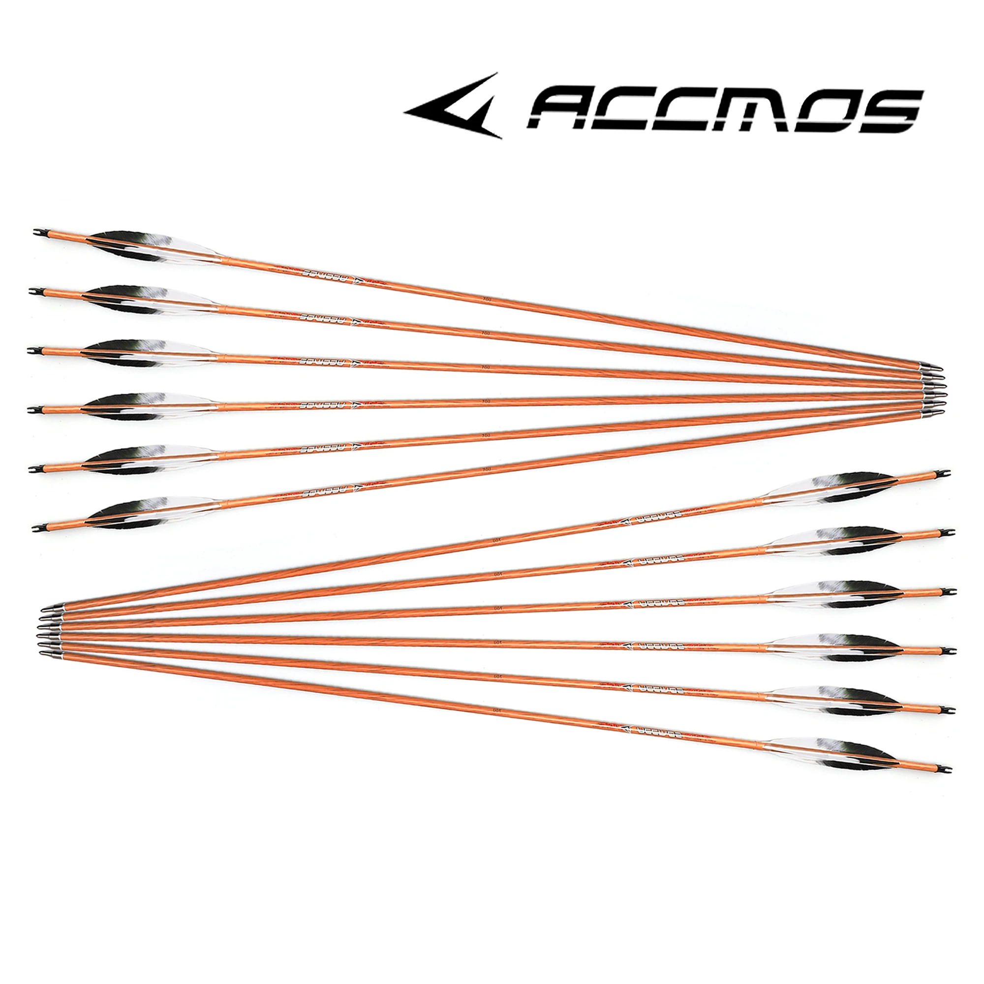 Carbon Arrow with Black and White Turkey Feather, Recurve Bow, Shooting Hunting, Wood Skin, Spine 400, 500, 600, 700, 3Inch, 6Pc