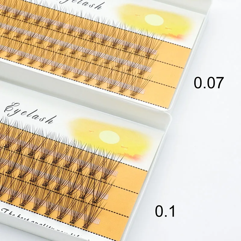 10D Mink Eyelash 1 Box/60 Bundles Natural Eyelash Extension 3D Russian individual Cluster Makeup Tool False eyelashes Wholesale